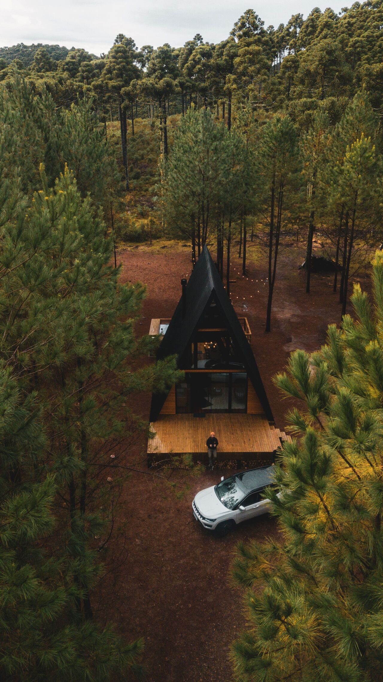 Vista aérea da cabana sozinha na clareira do bosque de pinus