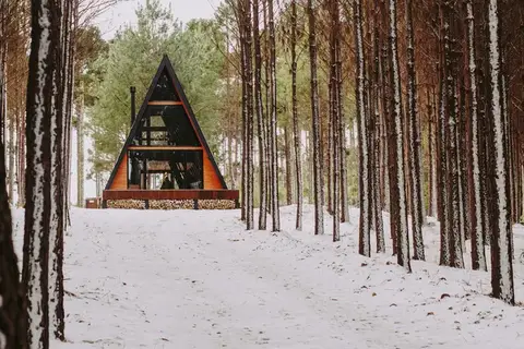 A cabana com neve no bosque de pinus